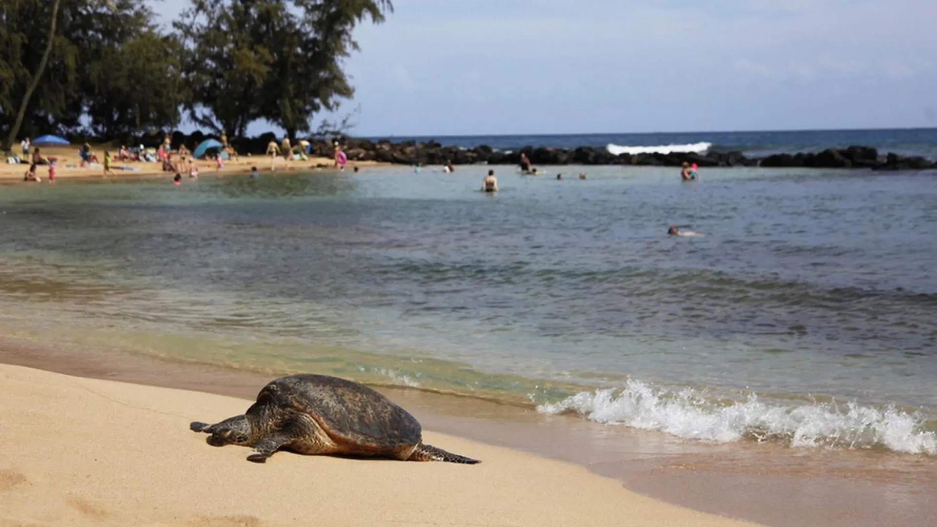 מלון Koloa Hale Kai‘opua at Kukui'ula